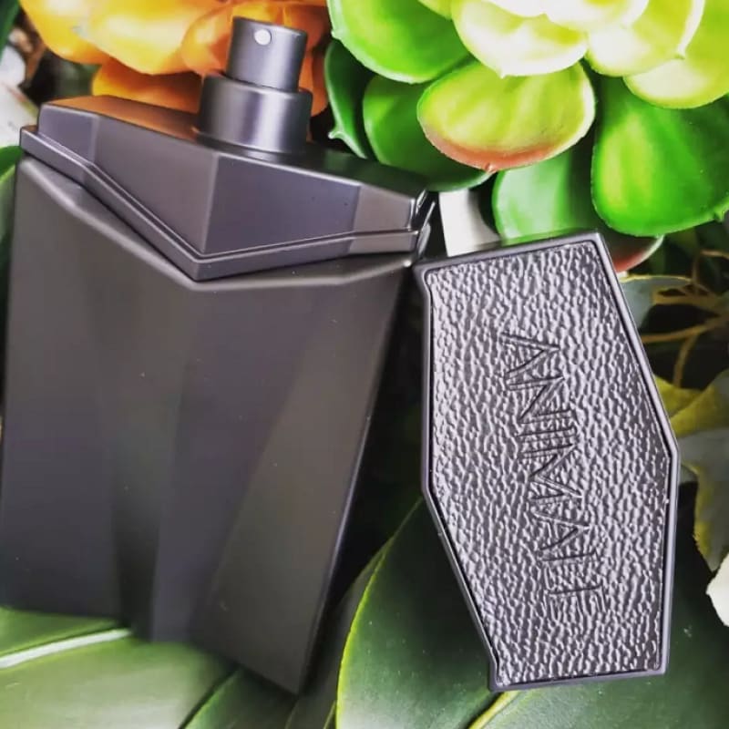 Animale Seduction EDT For Men | My Perfume Shop