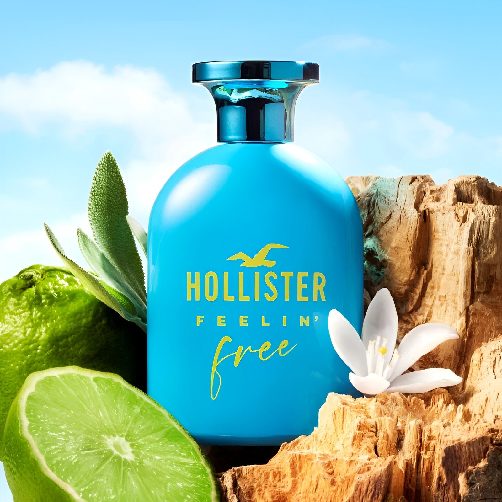 Hollister Feelin' Free EDT Hair & Body Wash Set for Men | My Perfume Shop