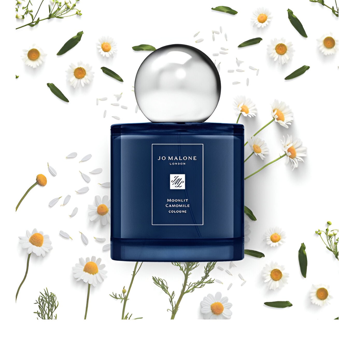 Jo Malone Moonlit Camomile Cologne | My Perfume Shop