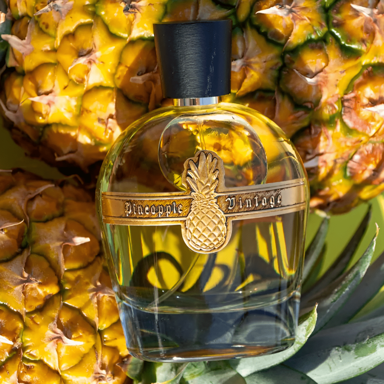 Parfums Vintage Pineapple Vintage Emperor Napoleon EDP | My Perfume Shop