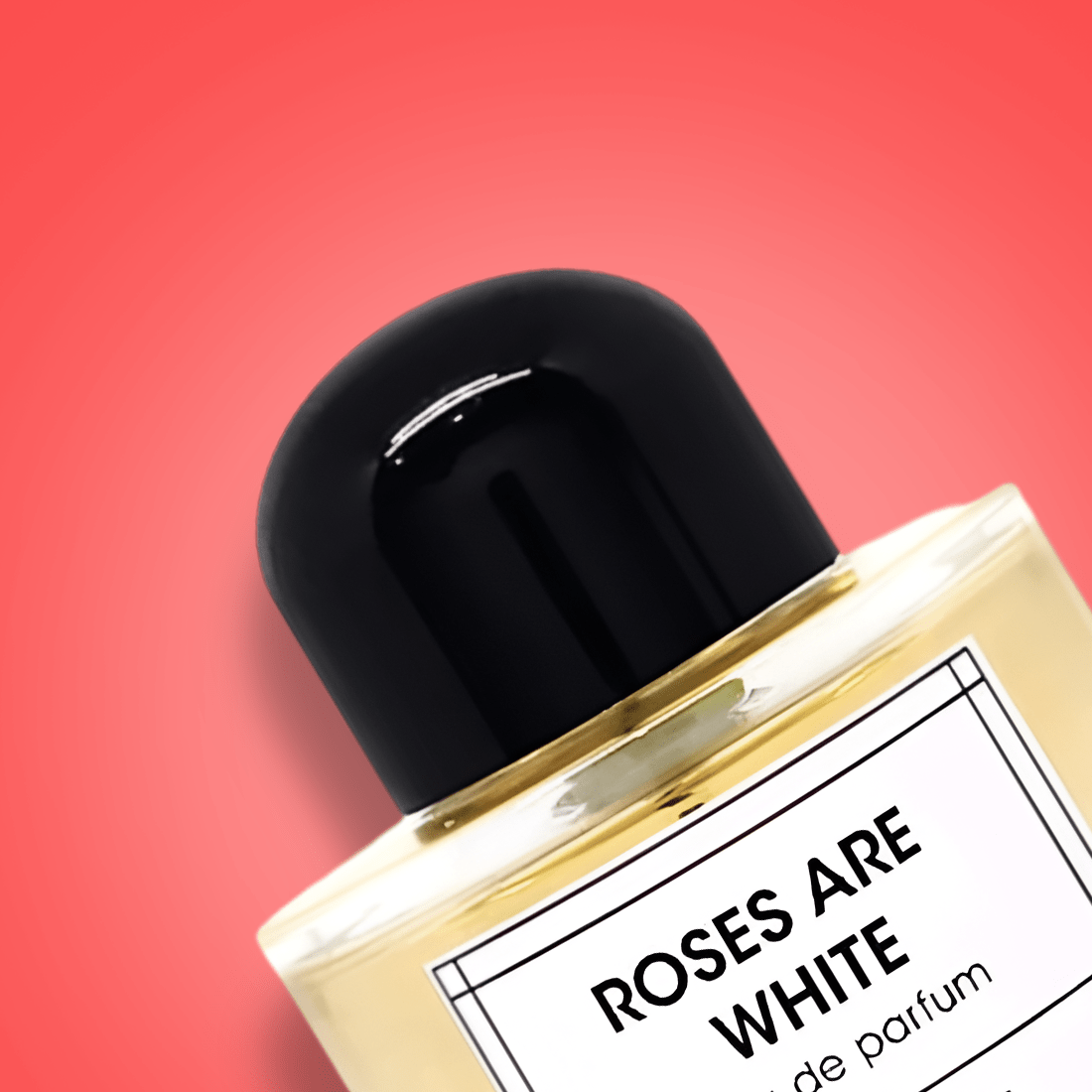 Zimaya Roses Are White EDP | My Perfume Shop