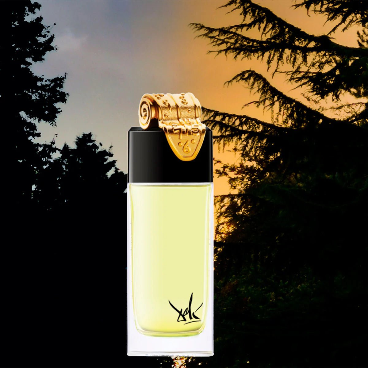 Dali Haute Parfumerie Paris Fluidite Du Temps Imaginaire EDP | My Perfume Shop
