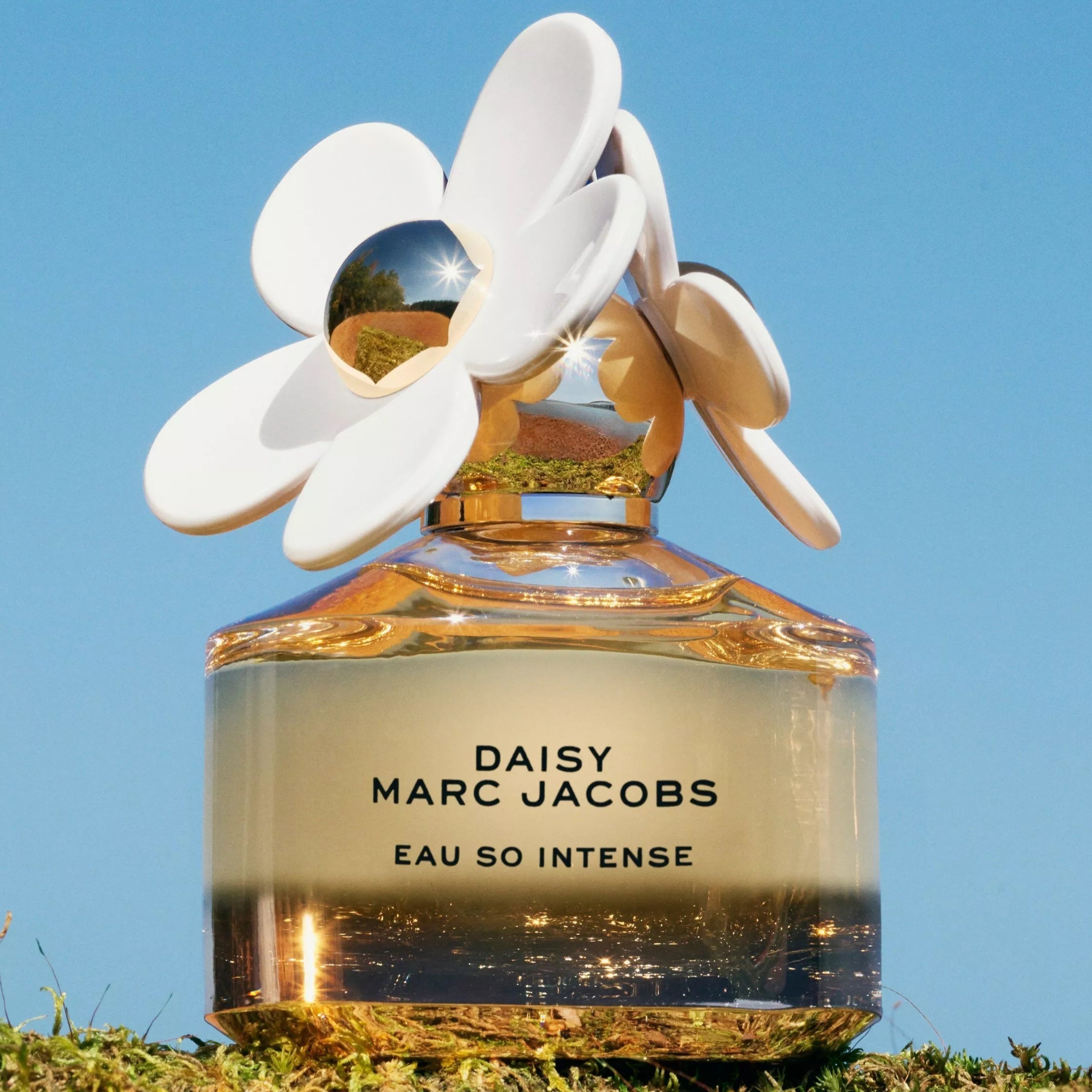 Marc Jacobs Daisy Eau So Intense EDP | My Perfume Shop